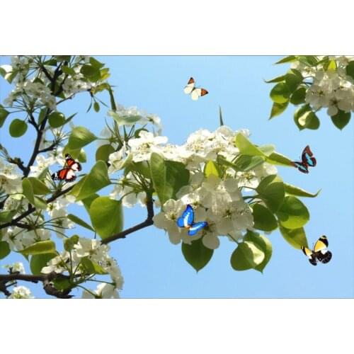 Beautiful pear flower blue sky and white clouds butterfly ceiling mural Paintings Living Room Ceiling Wallpaper
