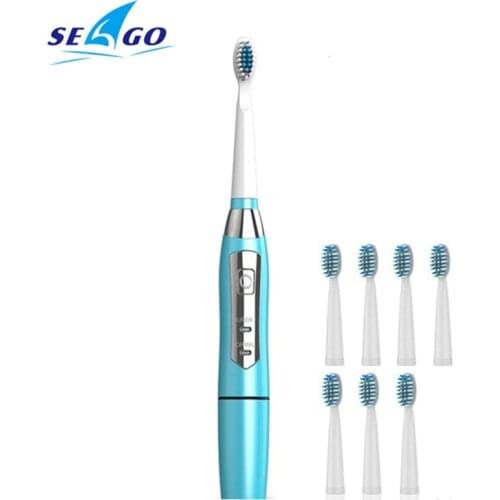 SEAGO Sonic Adult Battery Teeth brush Battery Oral Health Waterproof with Replacement Interdetal Brush Heads whitening SG E1