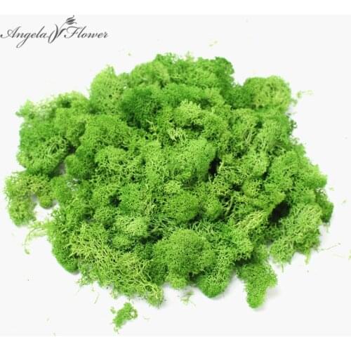 Artificial Everlasting moss plants eternal moss grass garden home decor DIY flower material garden micro landscape accessories