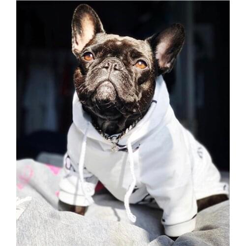 Dog Pet Clothes for Small Dogs Clothing French Bulldog Hoodies Chihuahua Vip Dropshipping