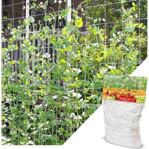 5/10m Mesh Trellis Netting Loofah Netting For Morning Glory Vine Flowers Garden Plants Climbing Net Cucumber Vine Grow Holder
