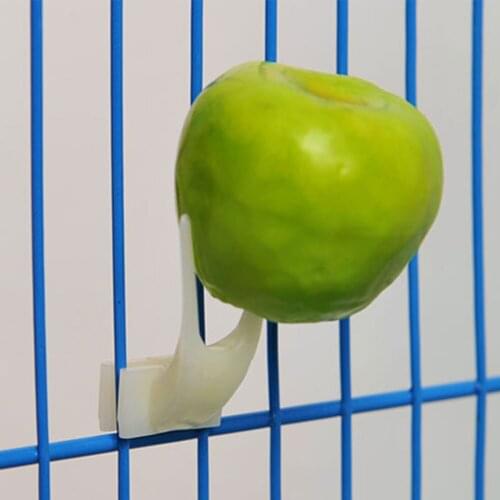 1 Pcs Birds Parrots Fruit Fork Pet Supplies Plastic Food Holder Shelf Feeding on Cage Pet Supplies Fruit Snacks Fork Aviary