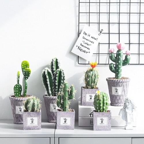 12 Types Nordic Ins Cactus Fleshy Plant Ornaments Office Hotel Home Desktop Cactus Simulation Green Plant Pot