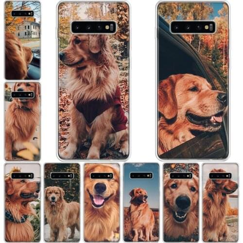 Luxury and cool Golden retriever Phone Case For Samsung Galaxy A71 A70 A51 A50 A41 A40 A30 A21 A10 A01 A90 A20S A20E A10S M30S A
