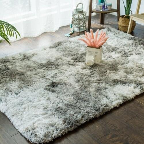 Carpet living room coffee table mat net red long hair removable and washable shop bedroom modern Nordic carpet
