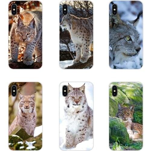 Accessories Phone Shell Covers For Samsung Galaxy A3 A5 A7 A9 A8 Star A6 Plus 2018 2015 2016 2017 Lynx Caracals Kitten