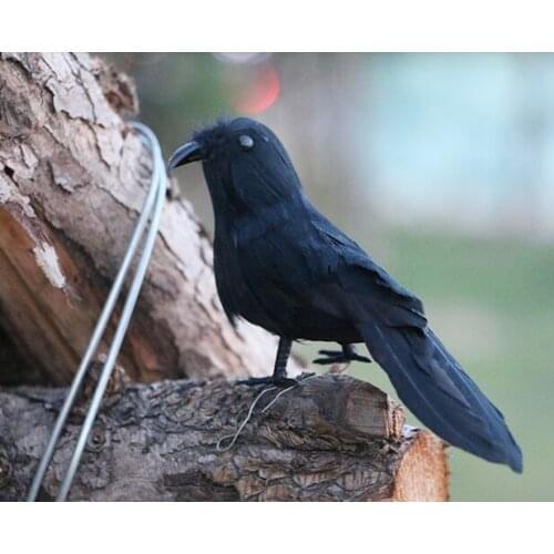 Small 14cm simulation crow foam&feathers black crow model, stage prop,Halloween Decoration gift w0159