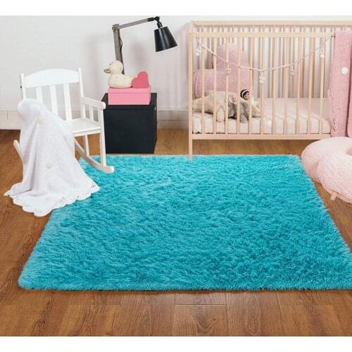 Super Soft Fuzzy Area Rug Large Plush Furry Shag Rug Living Room Carpet Kids Playroom Nursery Classroom Dining Room Decor Carpet