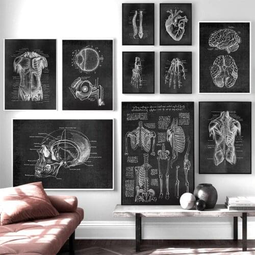 Muscle Foot Bone Heart Anatomy Skeleton Wall Art Canvas Painting Nordic Posters And Prints Wall Pictures For Doctor Office Decor