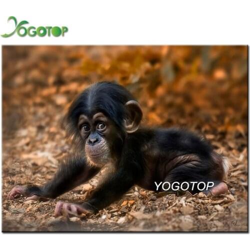 Diamond Embroidery Paintings Rhinestone Pasted Diamond painting Cross Stitch Kit cute Clever Monkey diamond mosaic Decor YY2953