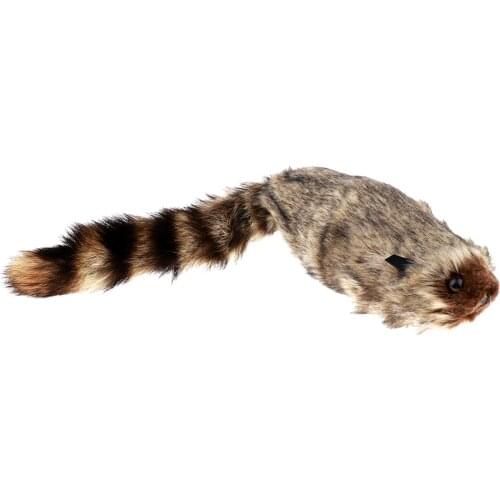 Rocky Raccoon Prank Toys Novelty Tricks for Beginners Kids 4 5 6 7 8 9 10 Young ian Practice