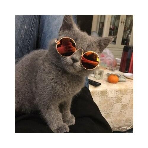 Cat Funny Headwear Pet Accessories Cat Glasses Cat Accessories Sunglasses Dog Reflective Sunglasses Teddy Personality