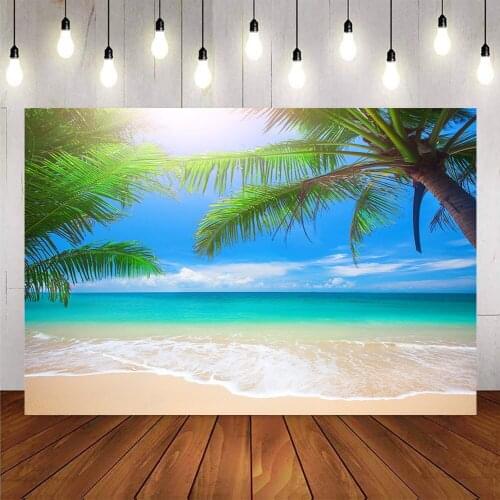 Summer beach backdrop cocount tree blue sky and sea sunlight holiday photo shoot background portrait photography backdrops