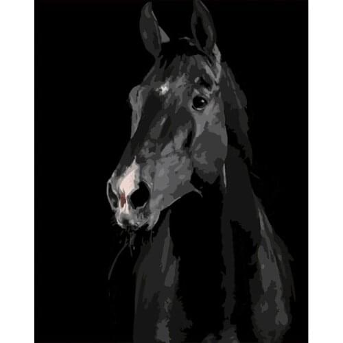 Painting By Numbers Animals 40x50cm Pictures Oil Painting By Numbers Dark Horse Acrylic Coloring By Numbers On Canvas Wall Gift