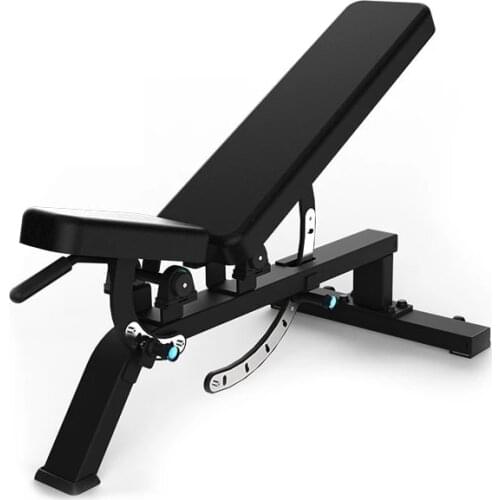 Adjustable Multifunctional Dumbction Bench Flying Bird Recumbent Training Bench Abdominal Board Gym Equipment Home Roman Chair