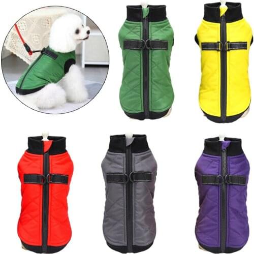 Winter Dog Cotton Coat Jacket with Buckle Warm Cozy Pet Clothes for Small Dogs Yorkshire Shih Tzu Puppy Cat mascotas Clothing