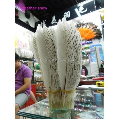 100Pcs/lot!12-14inches 30-35cm long Silver Pheasant Feathers,NATURAL Silver Pheasant Tail Feathers,loose feathers