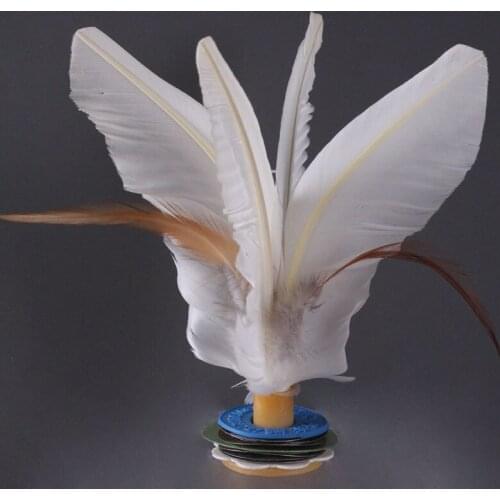 Shuttlecock Shuttlecock Game Goose Feather Huajian Pain Resistance To Play Unisex Gymnastics 2020