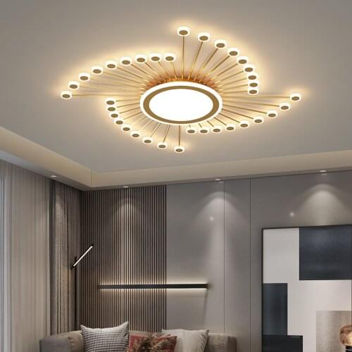 Rotating 2021 New Light Luxury Living Room Ceiling Lamp Simple Modern Atmospheric Hall Lamp Creative Master Bedroom Lamp