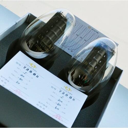 LINLAITUBE 7300BD Amplifier & Audio Tube (15months guarantee)