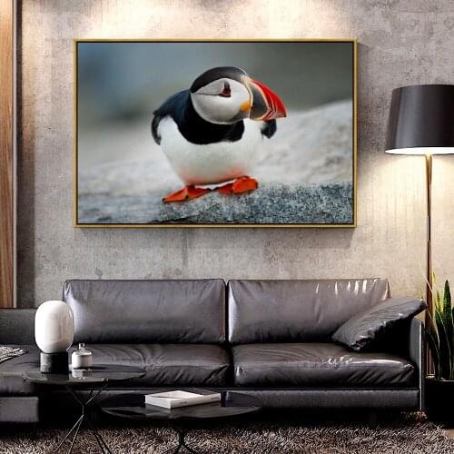 Artcozy Oil Canvas Painting atlantic_puffin_bird For Home Decoration Wall Art
