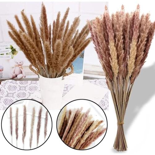 30PC Dried Decoration Dried Flowers Vases Bouquet Boho Decoration Branches Natural Dried Flowers Bouquet Artificial Decorations