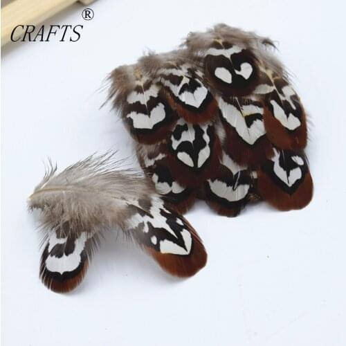 20 pc quality natural Pheasant feathers, 2-4inches / 5-9cm DIY decorative handicrafts accessories