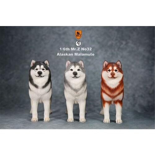 Mr.Z 1:6 Scale Alaskan Malamute Dog Pet Healing Figure Animal Model Toy Collector Desktop Decoration Adult Gift