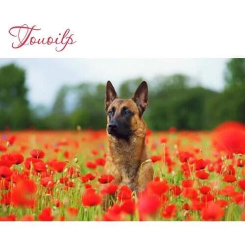 Touoilp 5D Dandelion 5d Shepherd dog diamond embroidery square&round diamond sets decorative diy diamond painting mountain