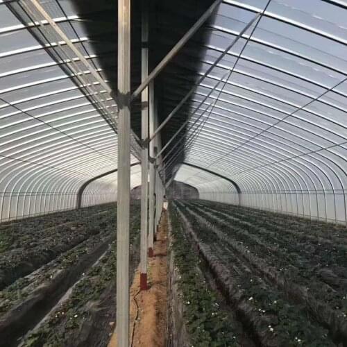 Anti corrosion and compression hot dip galvanized oval steel tube structure agricultural greenhouse