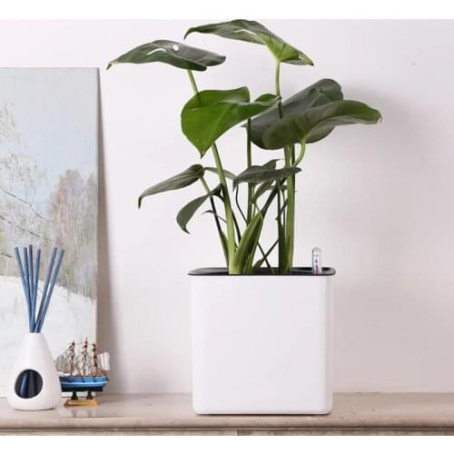 2021 Square Lazy Flower Pot Self-Watering Plastic Flowerpot Office Home Garden Desktop Flower Plant Pots + Water Level Indicator