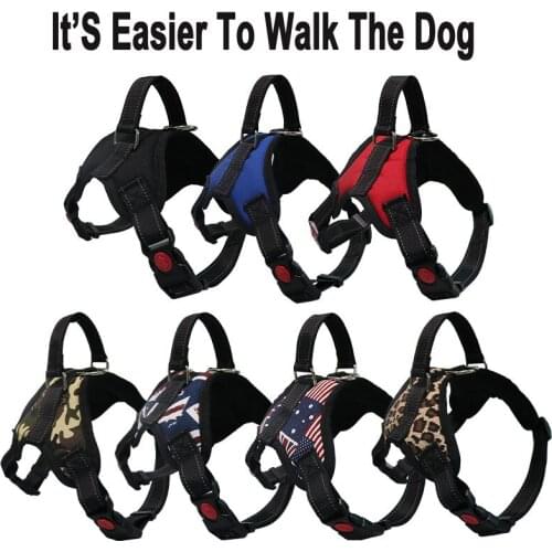Hand Free Dog Cat Leash-Sturdy Durable Dacron Pup Walking Belt Healthy Ourdoor Exercies