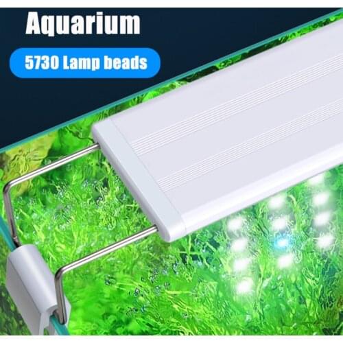 LED Blue White Fish Tank Lamp Holder Grass Tank Lamp Aquarium Lamp Energy-saving Lighting Aquatic Plants Growing Light