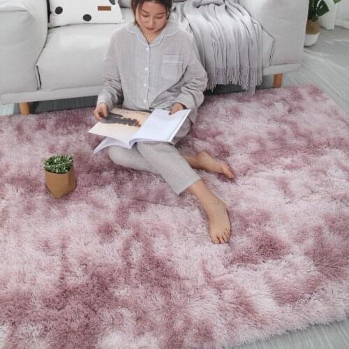 Bedroom plush bedside carpet living room coffee table mat gradient thick floor rug soft skin carpet encryption thick blanket