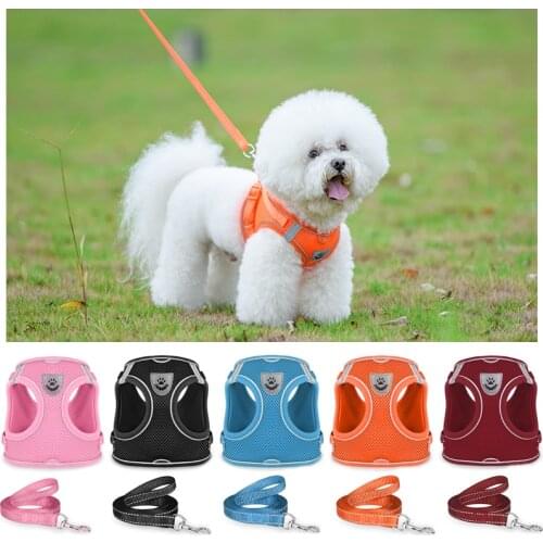 Dog Harness Reflective Puppy Kitten Collars Breathable Mesh Vest Adjustable Small Dog Cat Vest Harnesses Leash Pug Pet Supplies
