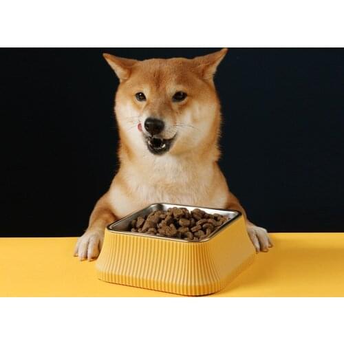 Pets dogs accessories automatic pet feeder bowl Water Cats pet products container for food bowl dog raised a plate for a cat