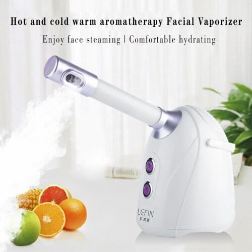Nano Ionic Steam Ozone Facial Steamer Face Sprayer Vaporizer Beauty Salon Skin Detox Whitening Moisturizing Face Cleaner Machine