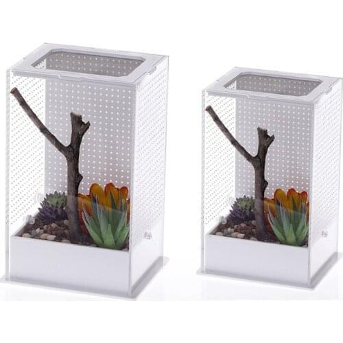 Reptile Feeding Box Insect Breeding Case Plastic Habitat for Spider Mantis