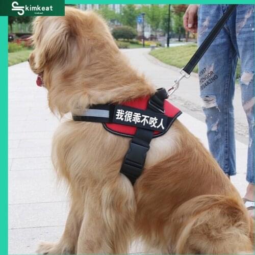 Small and large dog harness with custom patch, adjustable and breathable accessory, reflective, Vest type