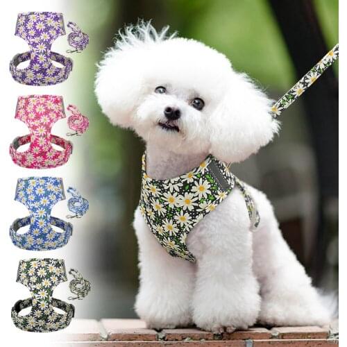 Small Dog Cat Harness Leash Set Nylon Daisy Printed Small Dogs Puppy Harness Vest Leashes for Chihuahua Reflective Pet Vest