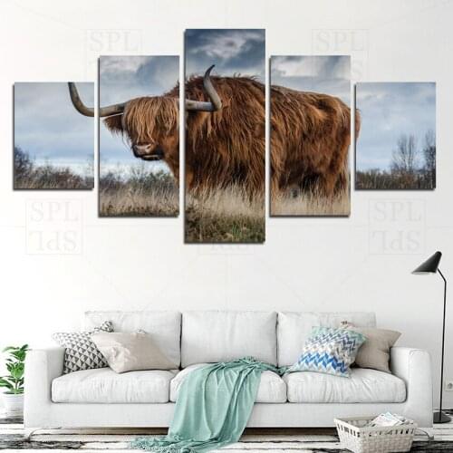 Highland Cattle Canvas Painting Animal Photography Wall Pictures for Living Room Home Decoration Grassland Posters and Prints