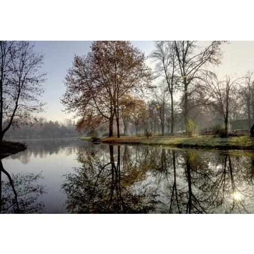 Wild lake Fall tree photography background vinyl fotografia kids photo-shots backdrops for photo studio props photophone lv-2420