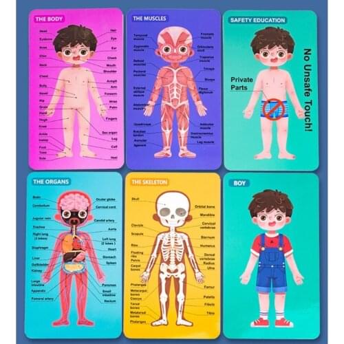 1Set Montessori Learning Toy Body Puzzle Jigsaw Sensory Human Anatomy Human Body Structure Puzzle Assembly Puzzle