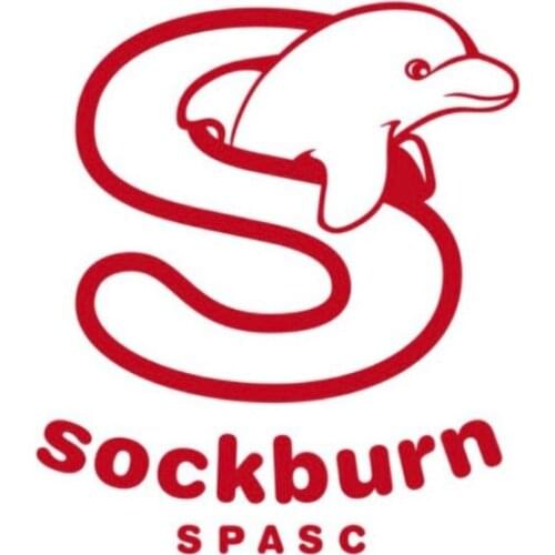 Imitation enamel,soft enamel pin ,nice quality,nice price