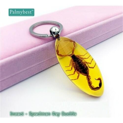 Миниатюрные фигурки PALMYBEST China At AliExpress