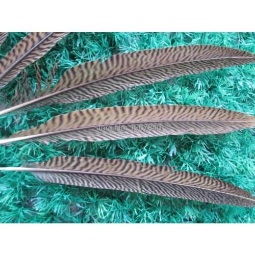 50 PCS / batch of natural pheasant tail feathers long 10-12 inch / 25-30 cm accessories clothing DIY celebration decoration