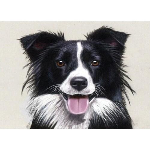 Border collie drawing, Diamond embroidery, 5d diy diamond Painting, rhinestone 3D photo cross stitch pattern home decor GH178