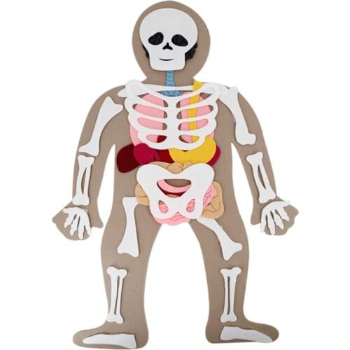 Human Body Felt Learning Educational Tools Felt Set with Bones and Organs