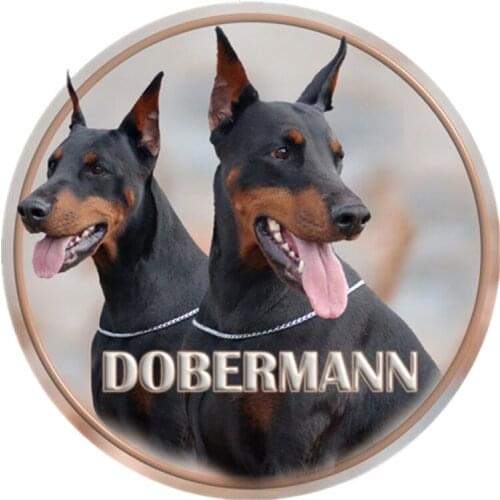 S40328# 13CM PVC Decal Dobermann Car Sticker Waterproof For Bumper Rear Window Laptop Refrigerator Toilet