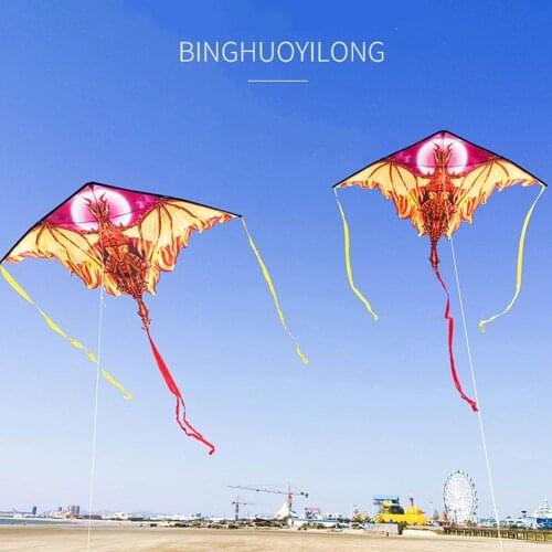 Outdoor Toys For Children Ice & Fire Dragon Kites With String High Quality Ripstop Albatross Kite Large Animal Shape Flying Gift